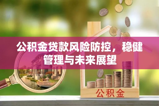 商南公积金贷款风险防控，稳健管理与未来展望