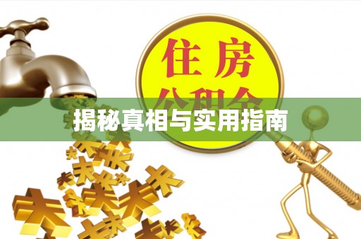 商南揭秘真相与实用指南