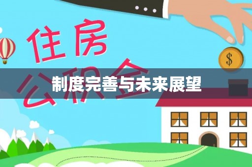 商南制度完善与未来展望