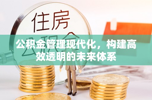 商南公积金管理现代化，构建高效透明的未来体系