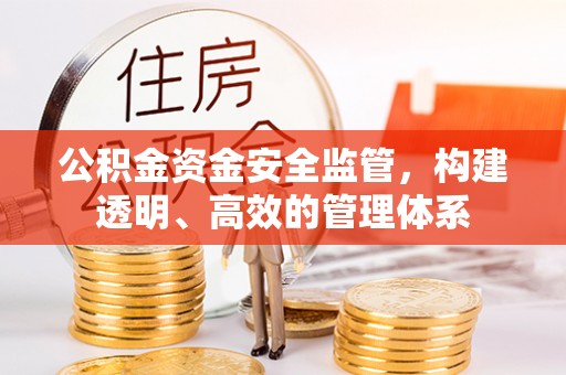 商南公积金资金安全监管，构建透明、高效的管理体系