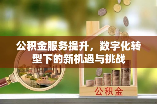 商南公积金服务提升，数字化转型下的新机遇与挑战