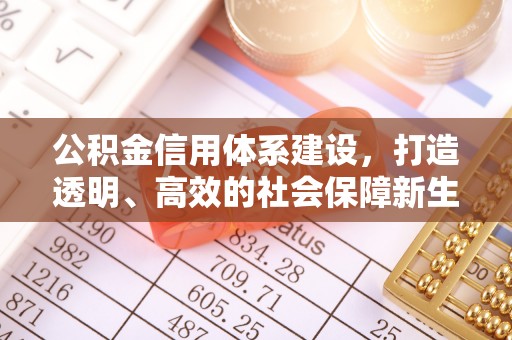 商南公积金信用体系建设，打造透明、高效的社会保障新生态