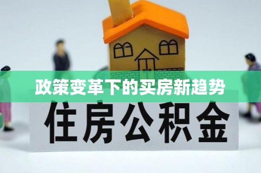 商南政策变革下的买房新趋势