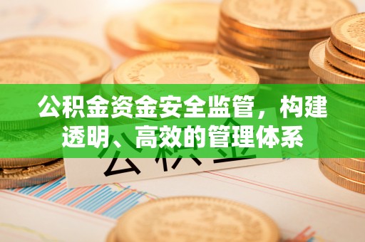 商南公积金资金安全监管，构建透明、高效的管理体系