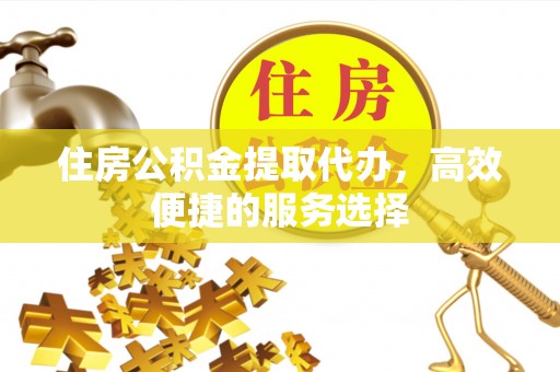 商南住房公积金提取代办，高效便捷的服务选择
