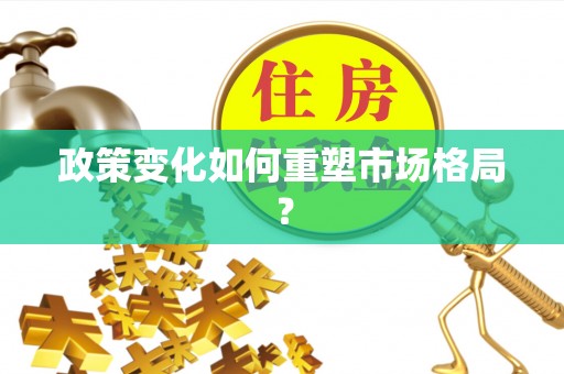 商南政策变化如何重塑市场格局？
