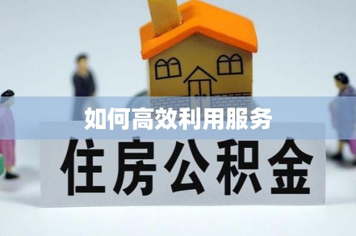 商南如何高效利用服务