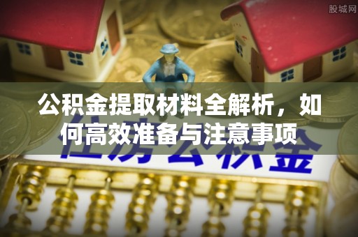 商南公积金提取材料全解析，如何高效准备与注意事项