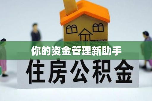 商南你的资金管理新助手