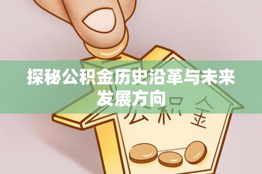 商南探秘公积金历史沿革与未来发展方向