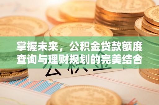 商南掌握未来，公积金贷款额度查询与理财规划的完美结合