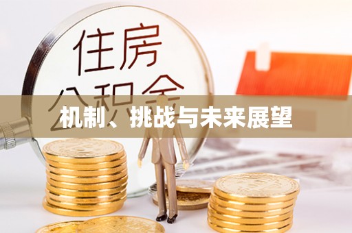 商南机制、挑战与未来展望